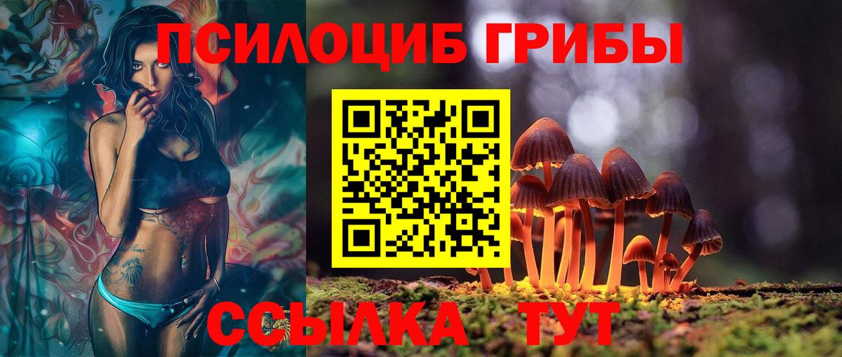 Псилоцибиновые грибы Psilocybine cubensis  Вход с VPN  Наро-Фоминск 